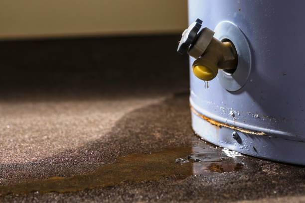 Best Ceiling water damage repair  in Ivyland, PA