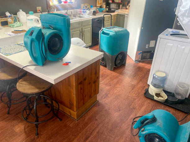 Best Water damage restoration experts  in Ivyland, PA