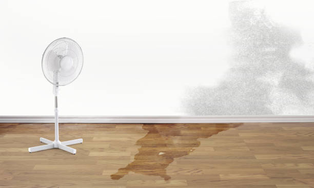 Best Fire Damage Restoration  in Ivyland, PA
