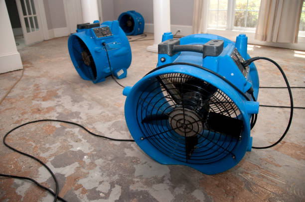 Best 24-hour water damage restoration  in Ivyland, PA