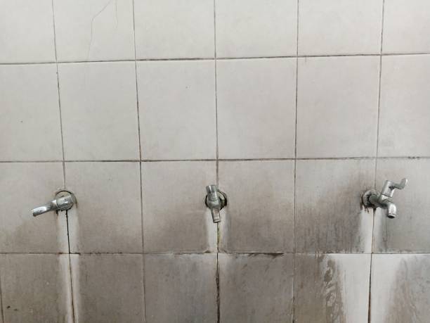 Best Professional water damage repair  in Ivyland, PA