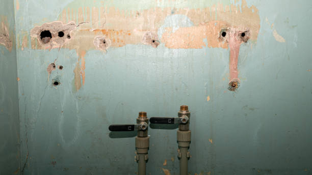 Best Commercial water damage restoration  in Ivyland, PA