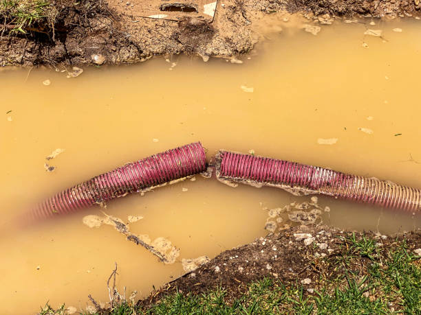 Best Commercial water damage restoration  in Ivyland, PA
