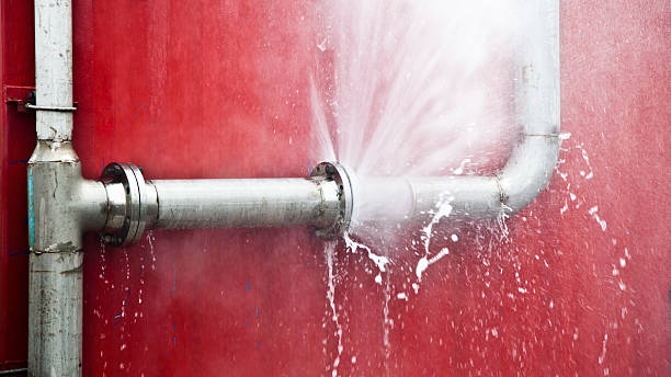Best Carpet water damage restoration  in Ivyland, PA